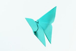 Easy Origami for Beginners: 20 Simple Projects Anyone Can Fold